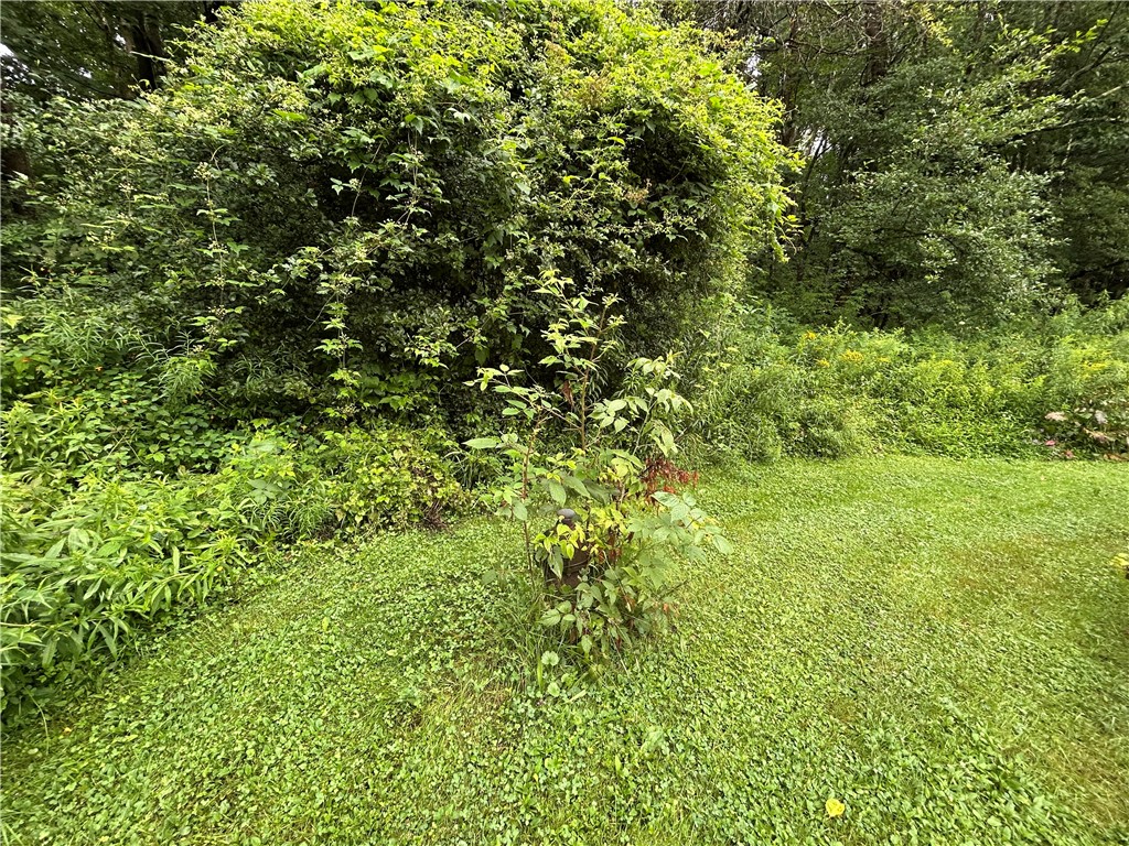 2245 Sanly Road Franklin, NY 13775 - Photo 16 of 33 Well Head