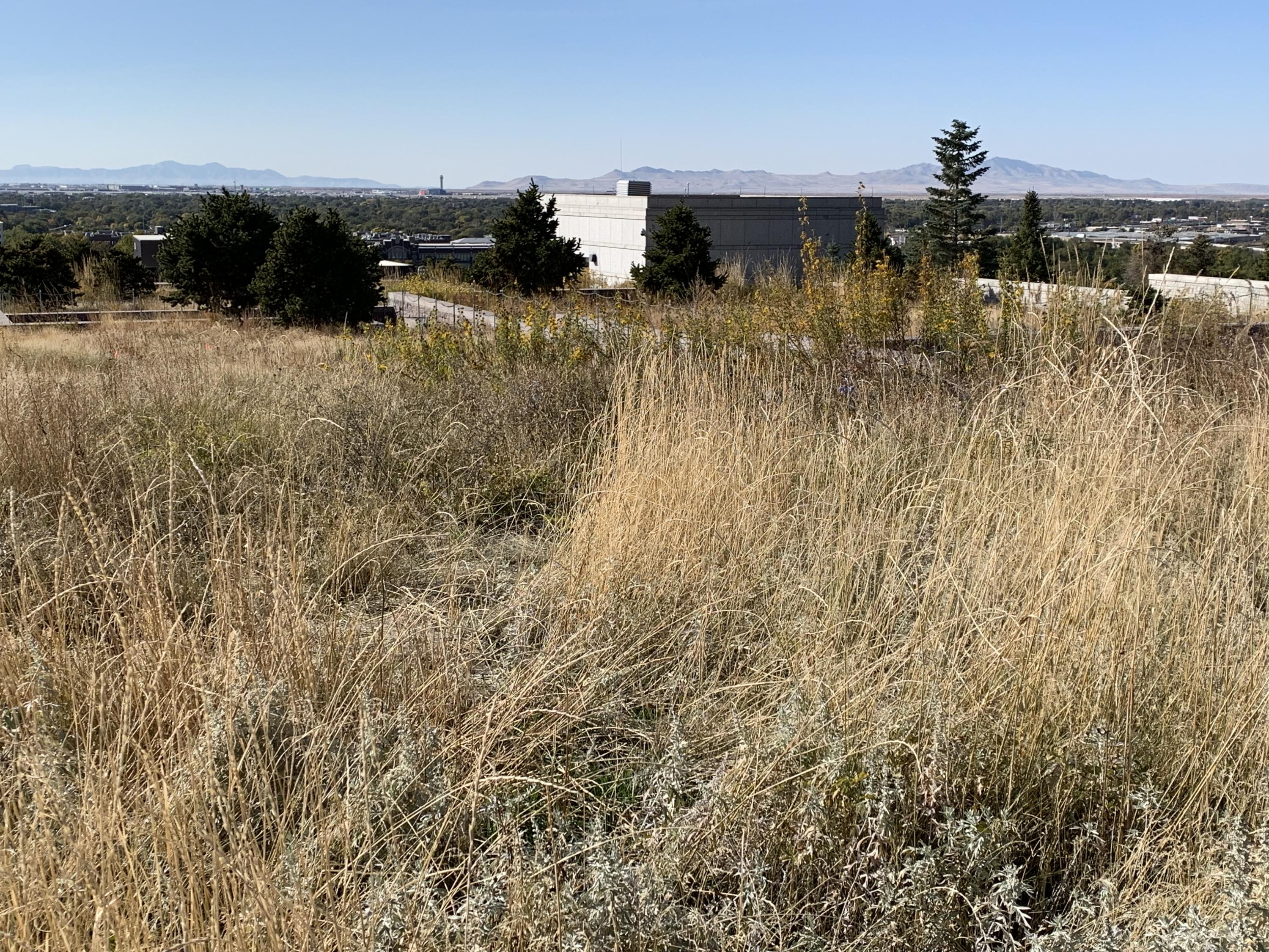 Undisclosed Address Allagash, ME 04774 - Photo 1 of 9 IMG_0519