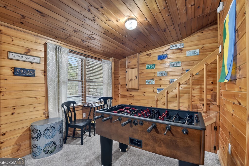 488 Joann Sisson Road Blue Ridge, GA 30513 - Photo 29 of 39