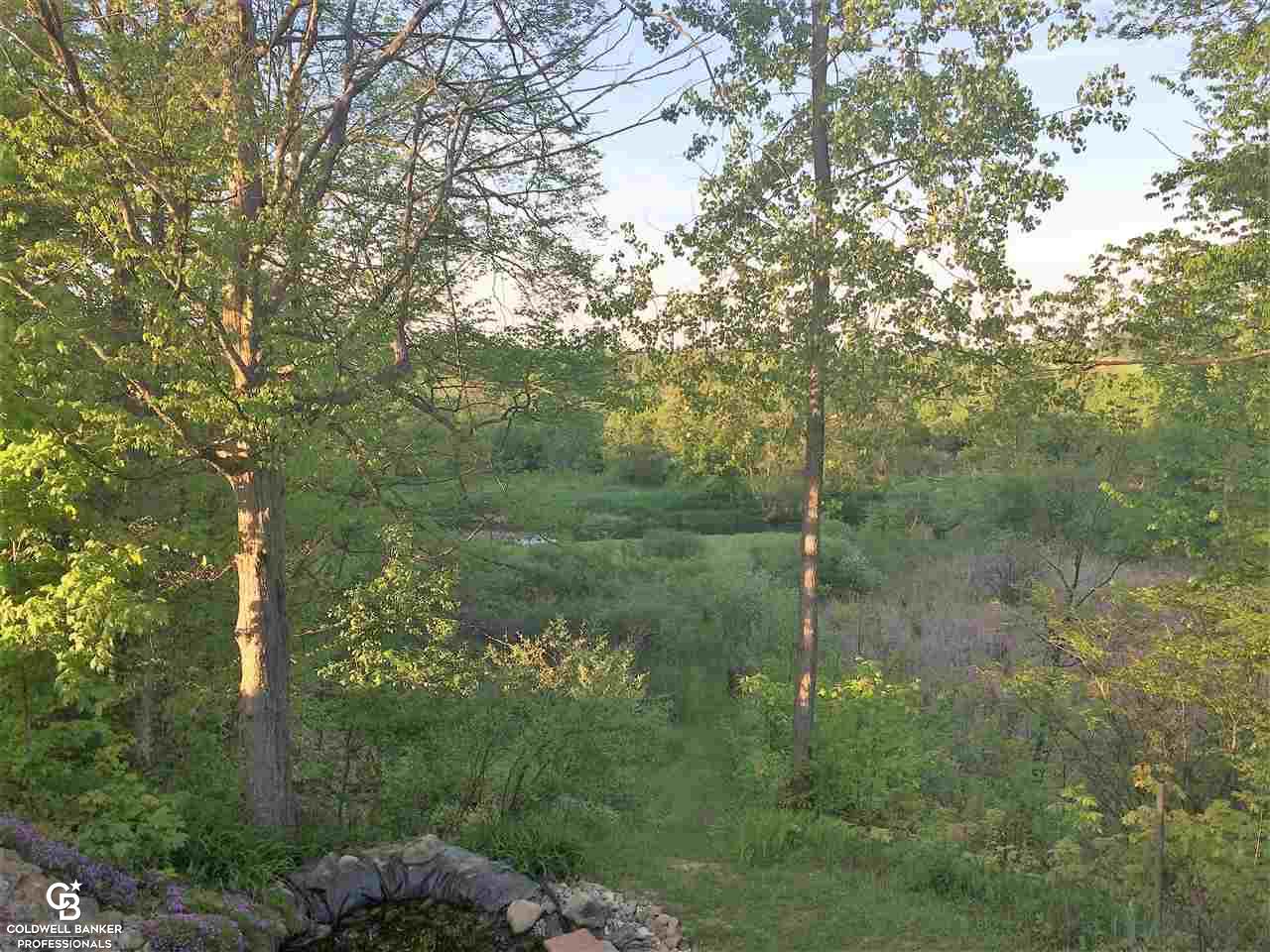 10900 Metcalf Road Yale, MI 48097 - Photo 62 of 69 This is view 1 of the creek.