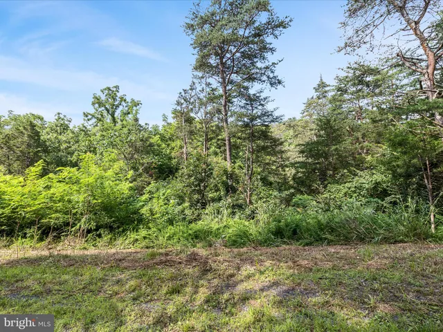 a view of outdoor space with trees all around