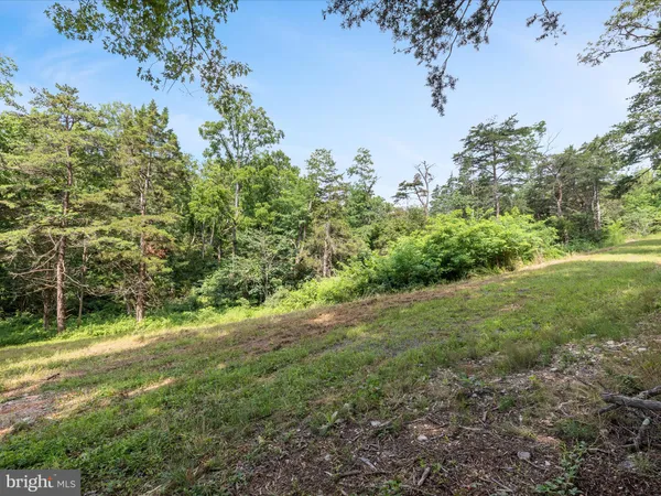 $125,000 | Lot 20 Hampstead Court, Maurertown, VA 22644