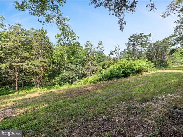$125,000 | Lot 20 Hampstead Court, Maurertown, VA 22644