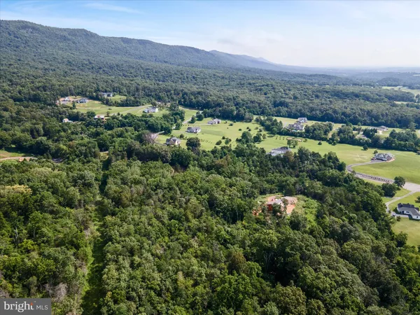 an aerial view of a town with trees