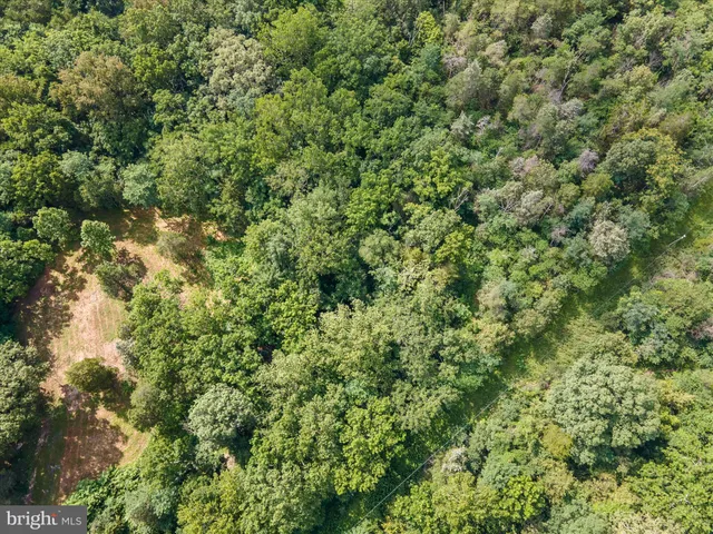 an outdoor view of a house with a tree