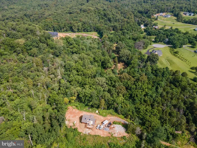 a view of a lush green hillside and a houses
