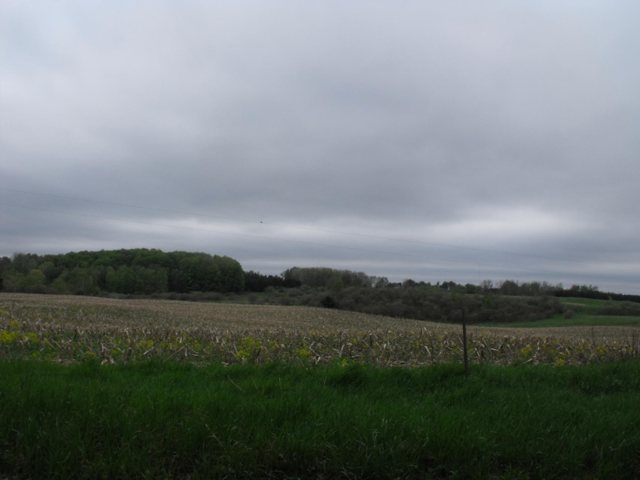 0 Truman Road Barryton, MI 49305 - Photo 15 of 18 DSCF8142