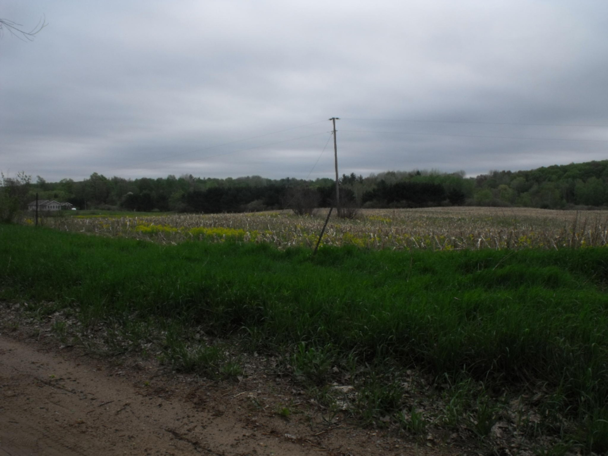 0 Truman Road Barryton, MI 49305 - Photo 17 of 18 DSCF8144