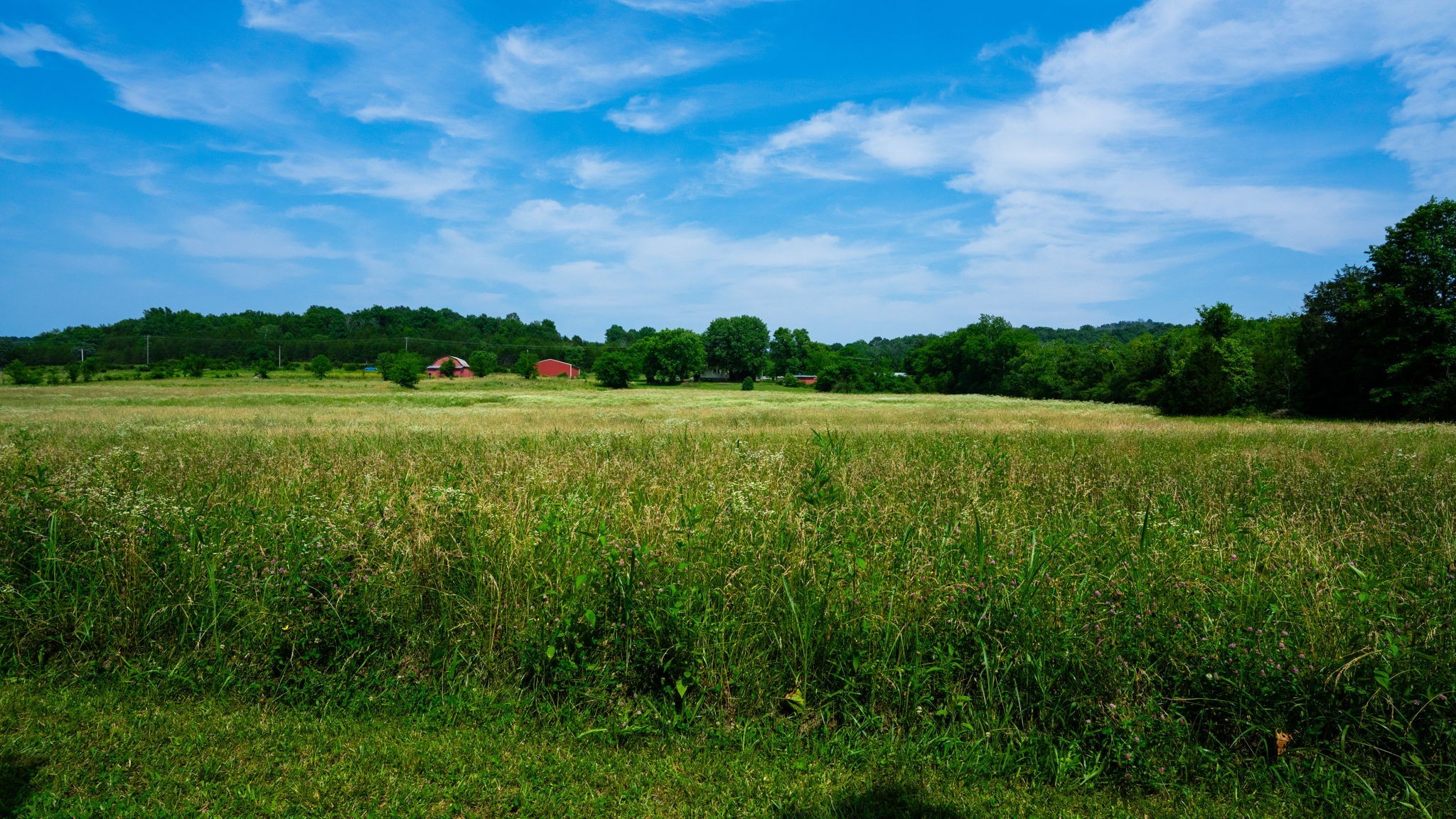 3460 Bradyville Road Readyville, TN 37149 - Photo 26 of 42 a view of an outdoor space and a yard