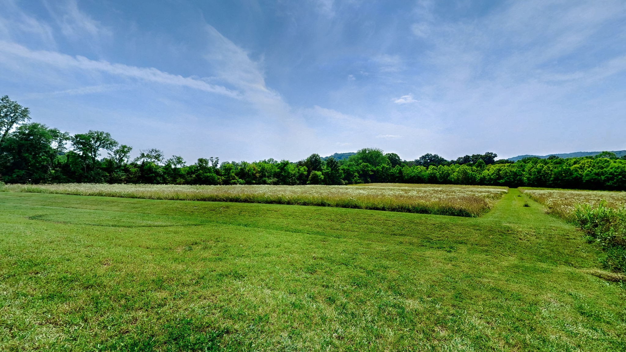 3460 Bradyville Road Readyville, TN 37149 - Photo 27 of 42 a view of a field with a big yard