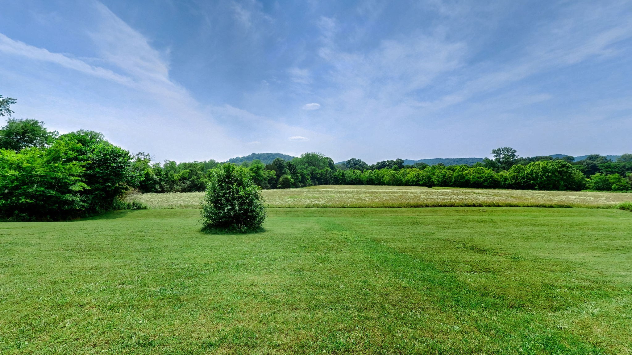 3460 Bradyville Road Readyville, TN 37149 - Photo 28 of 42 a view of a big yard with a tree