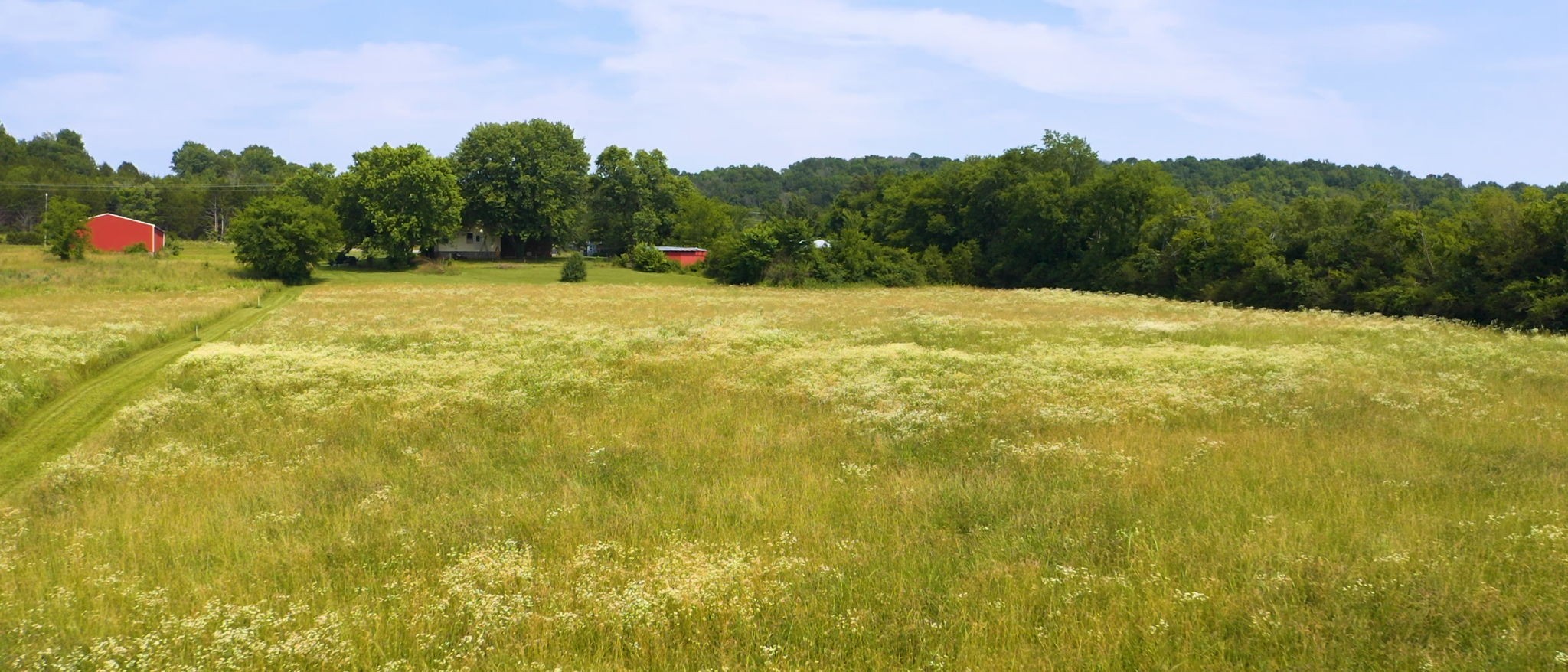 3460 Bradyville Road Readyville, TN 37149 - Photo 29 of 42 a view of an outdoor space and a yard