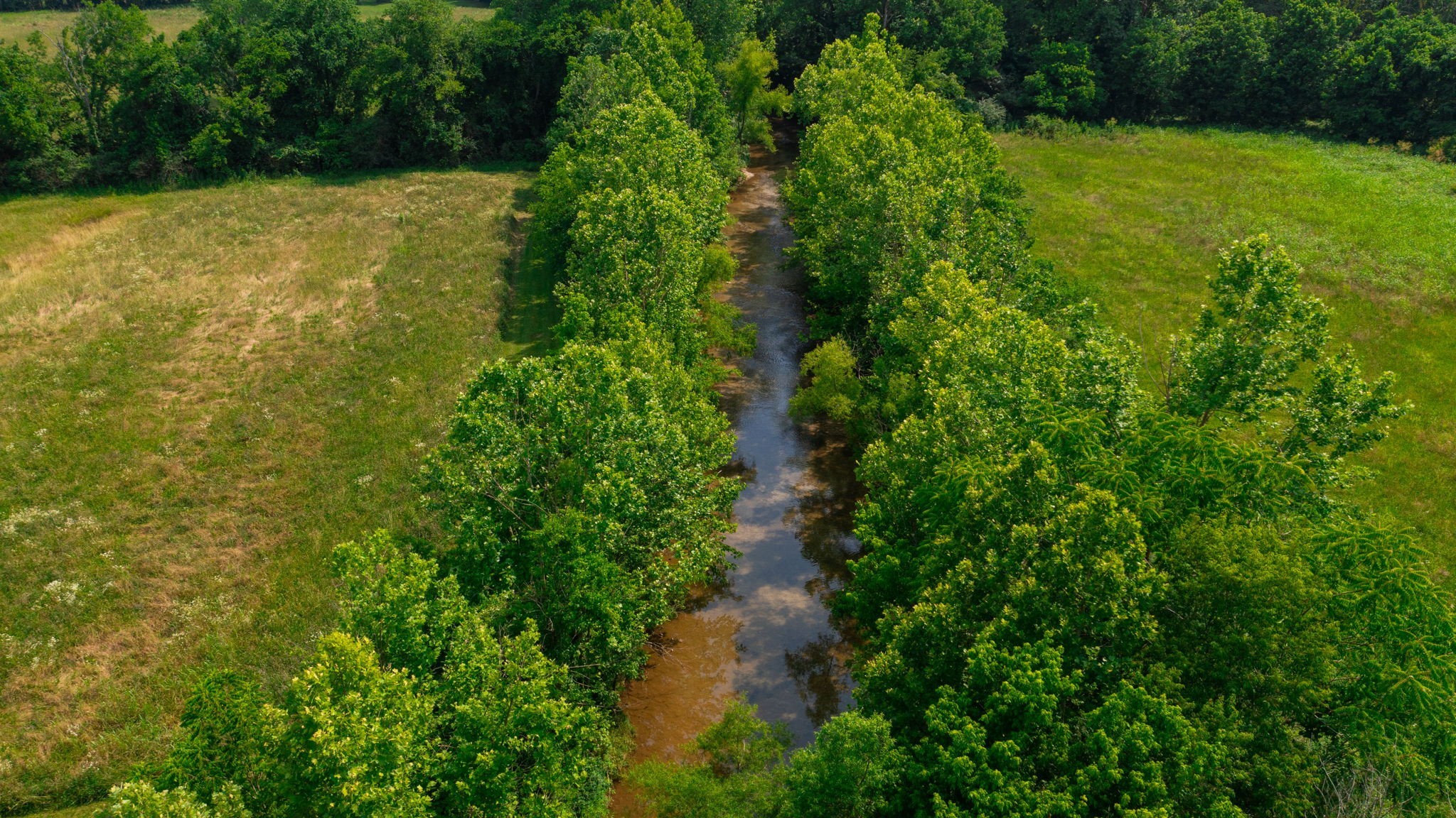 3460 Bradyville Road Readyville, TN 37149 - Photo 30 of 42 a view of a yard