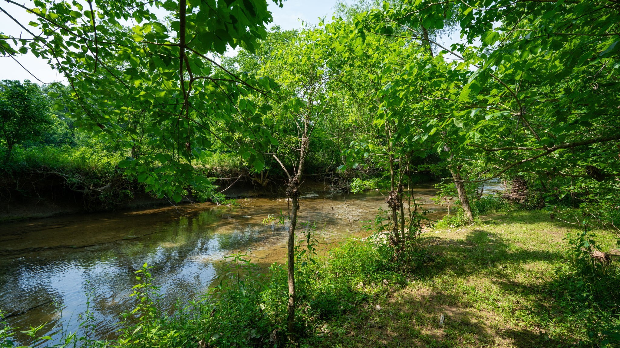 3460 Bradyville Road Readyville, TN 37149 - Photo 32 of 42 a backyard of a house with lots of green space