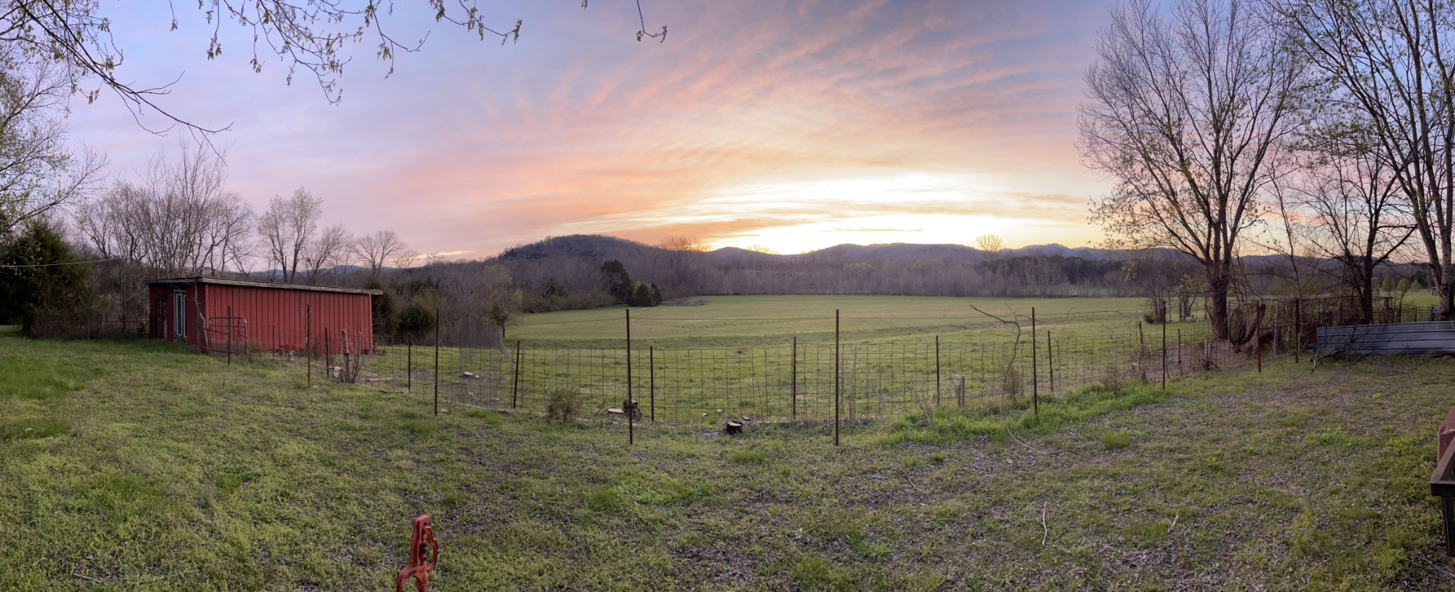 3460 Bradyville Road Readyville, TN 37149 - Photo 35 of 42 a view of a big yard with large trees