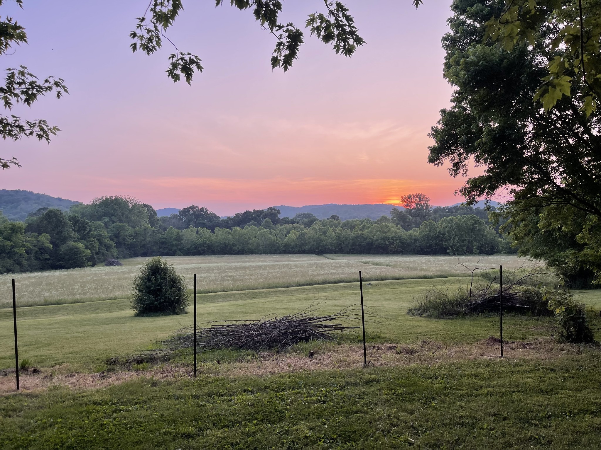 3460 Bradyville Road Readyville, TN 37149 - Photo 36 of 42 a view of lake with green space