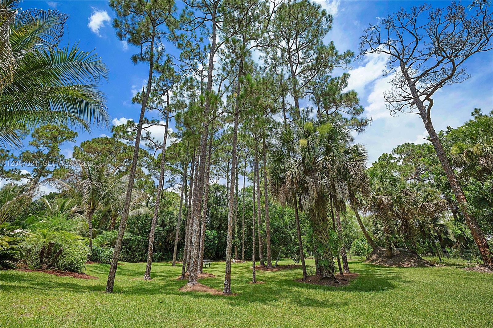 12127 154th Road North Jupiter, FL 33478 - Photo 49 of 67 Lush Green Yard with well irrigation system