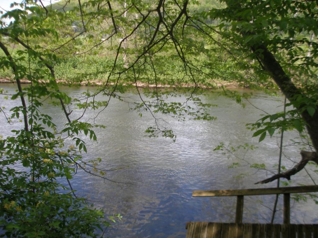 636 River Road Deposit, NY 13754 - Photo 4 of 16 Gallery Image 4