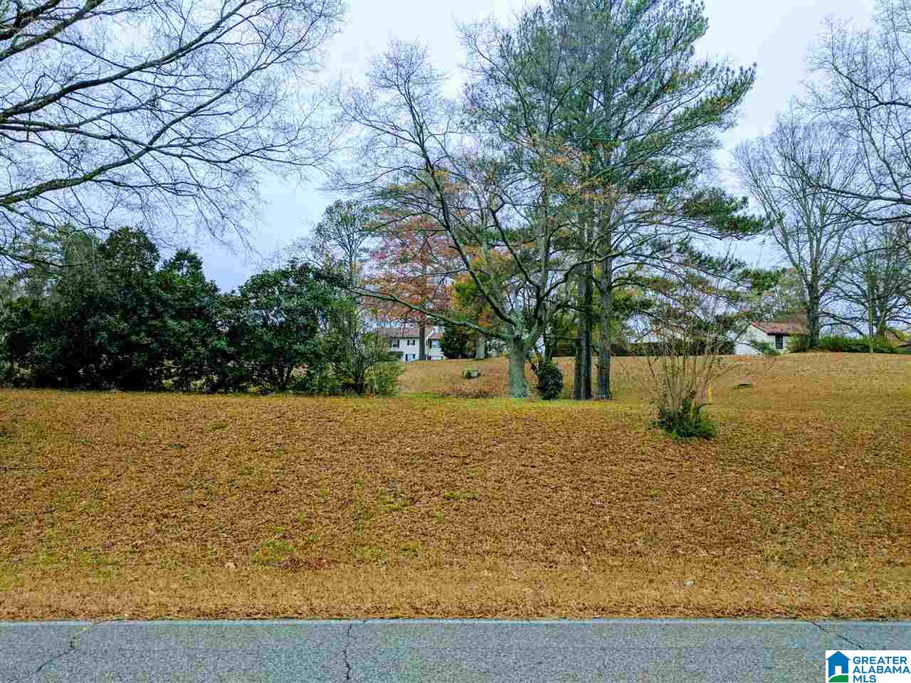 Baltzell Gate Road, Unit 1 45 Anniston, AL 36205 - Photo 18 of 19