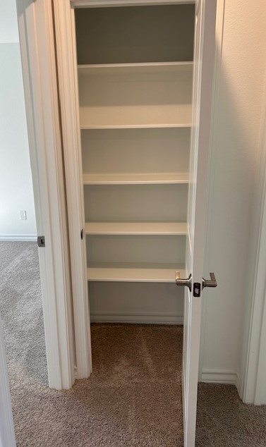 125 Watkinville Road Hutto, TX 78634 - Photo 14 of 17 a view of walk in closet