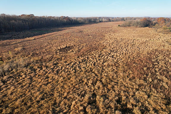 0 Tuttle Road Pittsford, MI 49271 - Photo 16 of 26 DJI_0214
