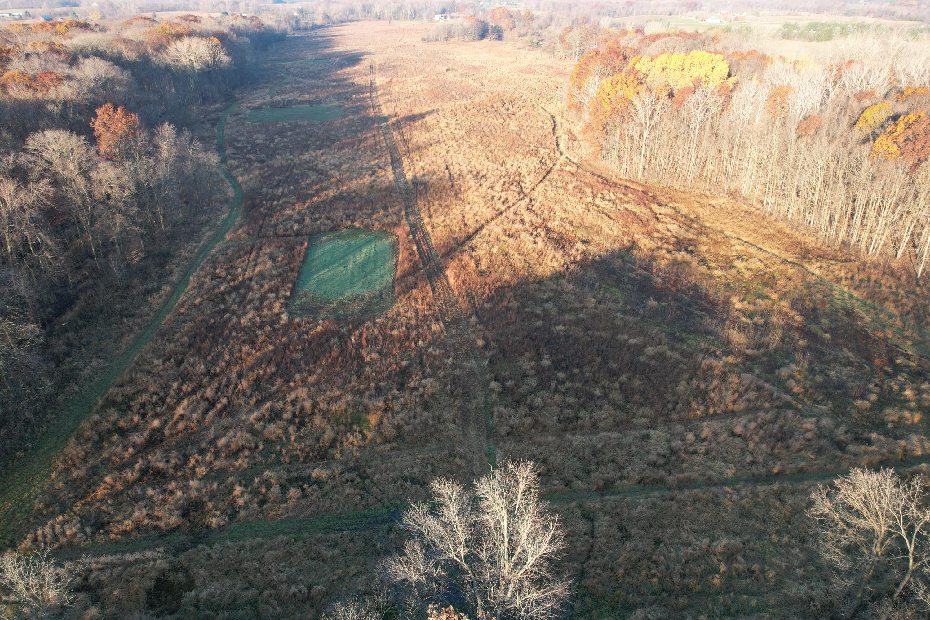 0 Tuttle Road Pittsford, MI 49271 - Photo 6 of 26 DJI_0196