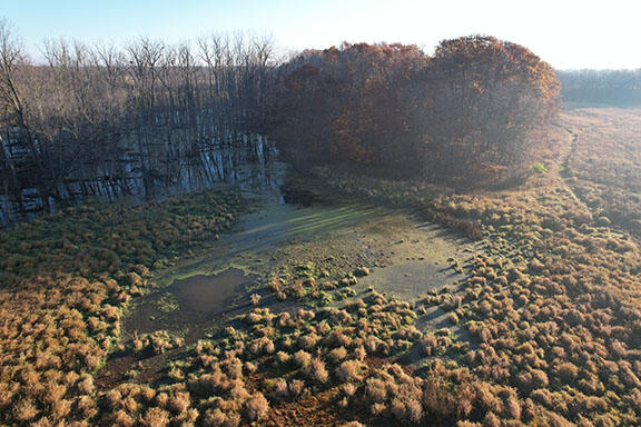 0 Tuttle Road Pittsford, MI 49271 - Photo 10 of 26 DJI_0213