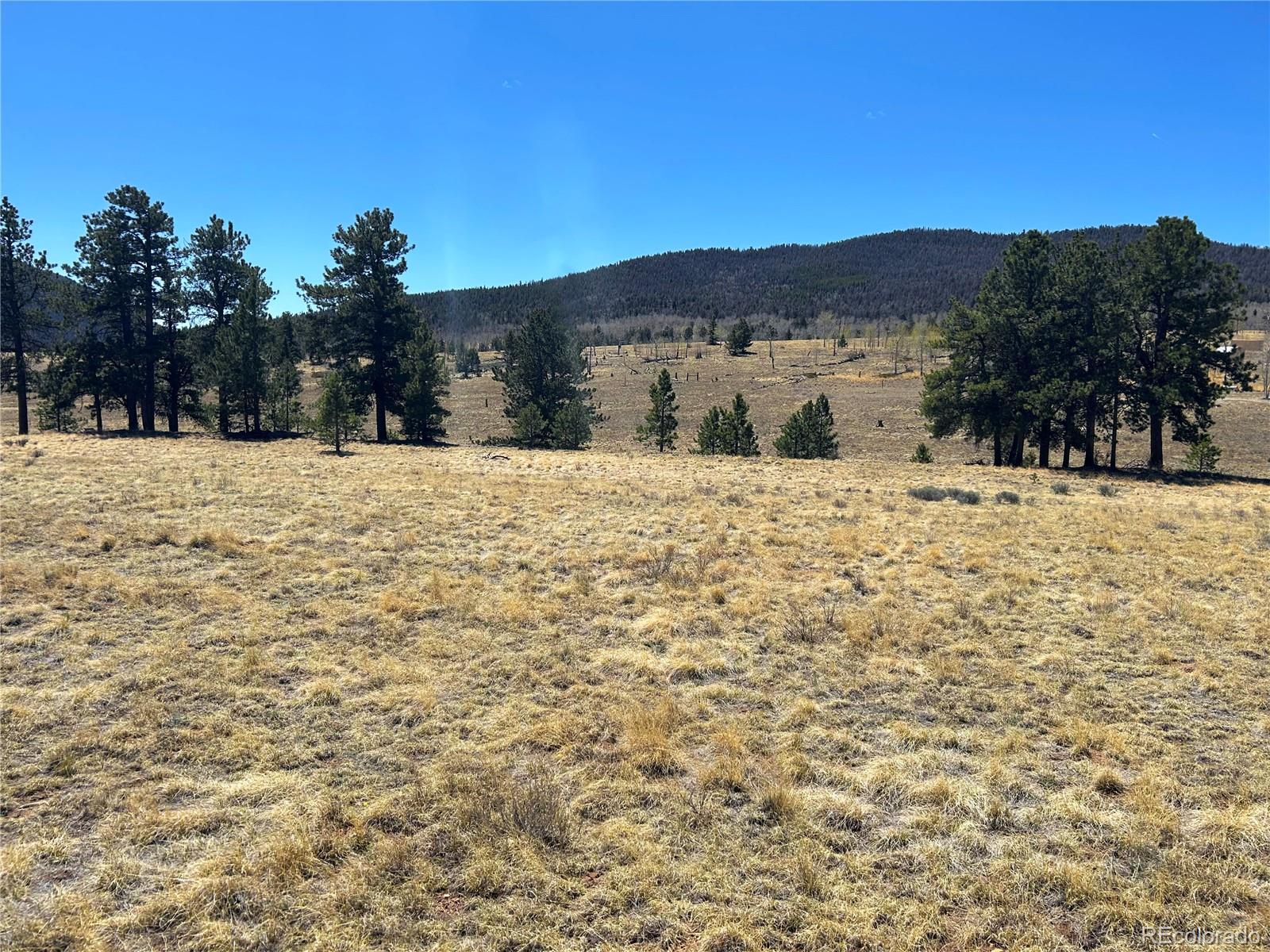 Singletree Road Hartsel, CO 80449 - Photo 9 of 12 Gallery Image 9