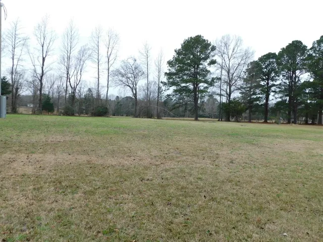 a view of a field with trees in the background