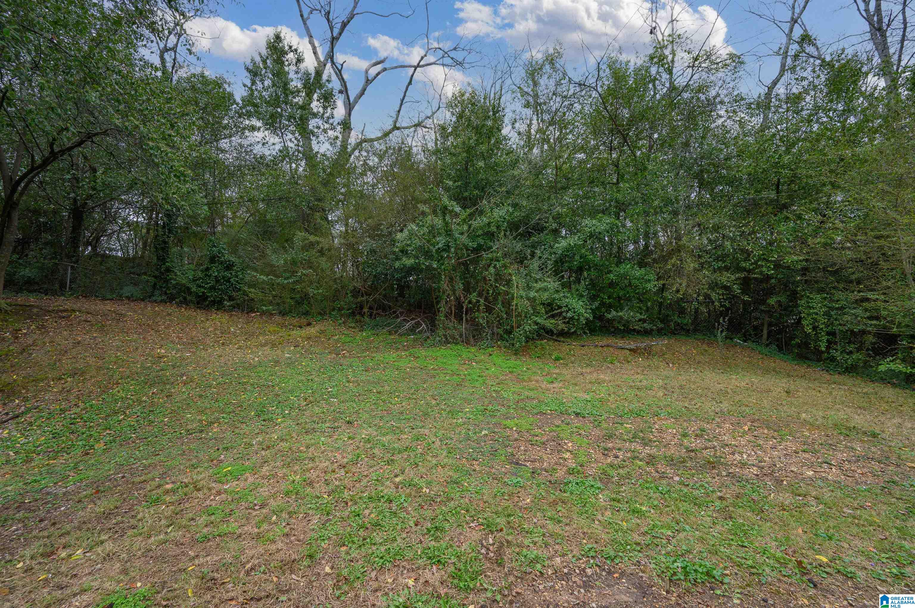 8164 Rugby Avenue Birmingham, AL 35206 - Photo 36 of 36