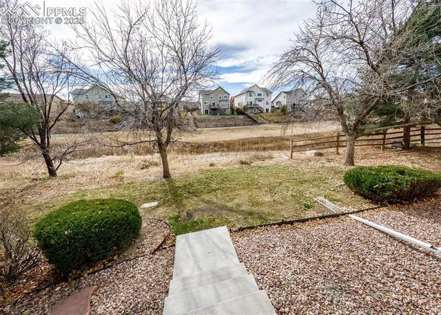 a view of a yard with trees
