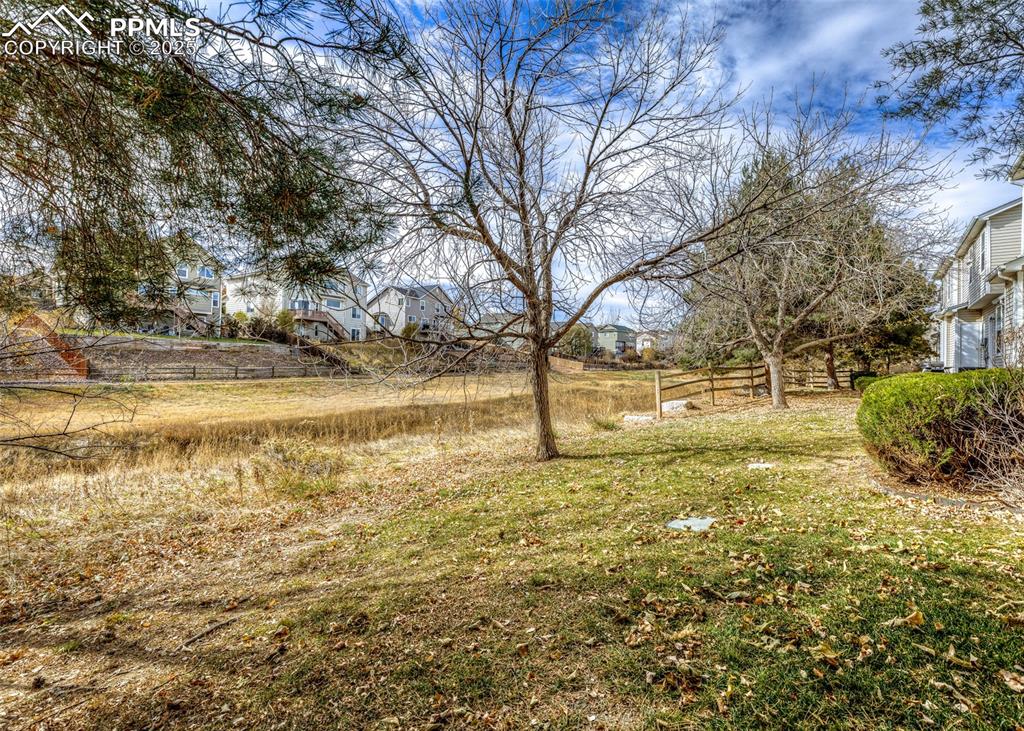 7818 Sandy Springs Point Fountain, CO 80817 - Photo 45 of 46 a view of yard with trees