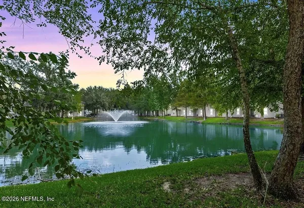 a view of a lake in a garden