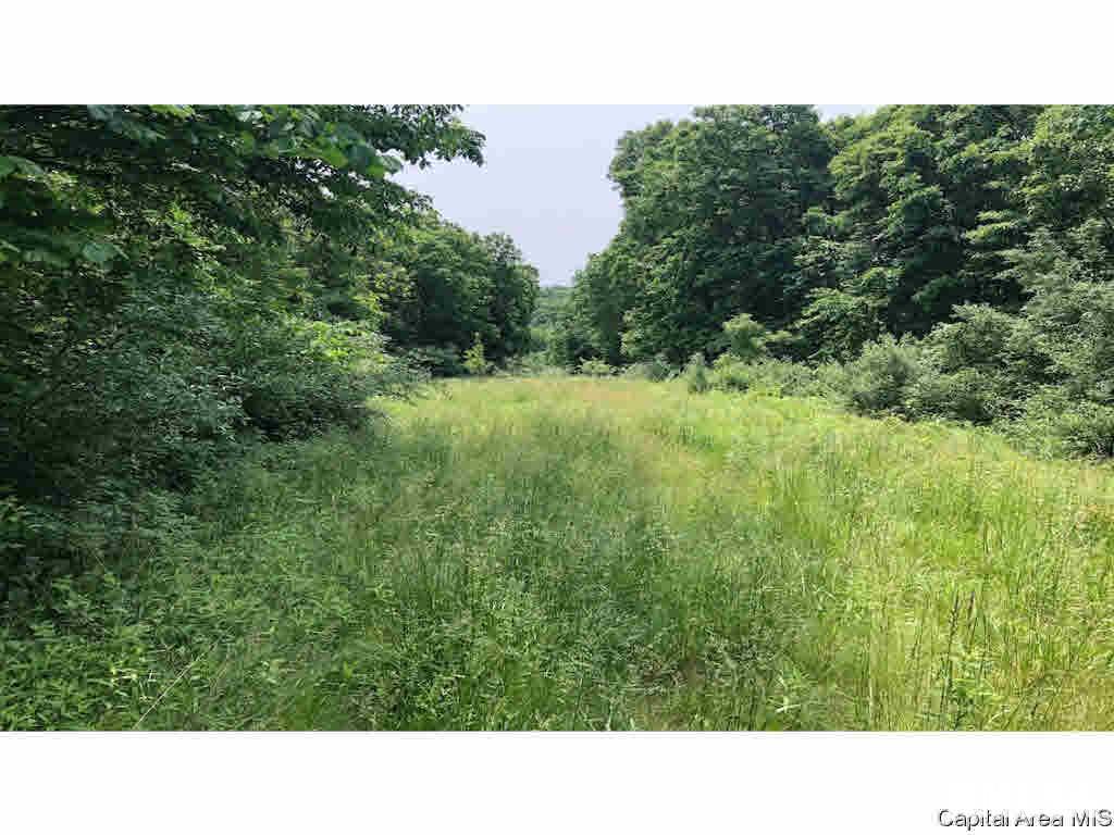24268 Kinderhook Road Rushville, IL 62681 - Photo 15 of 35