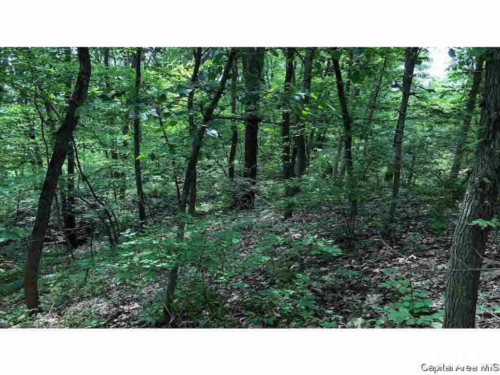 24268 Kinderhook Road Rushville, IL 62681 - Photo 20 of 35