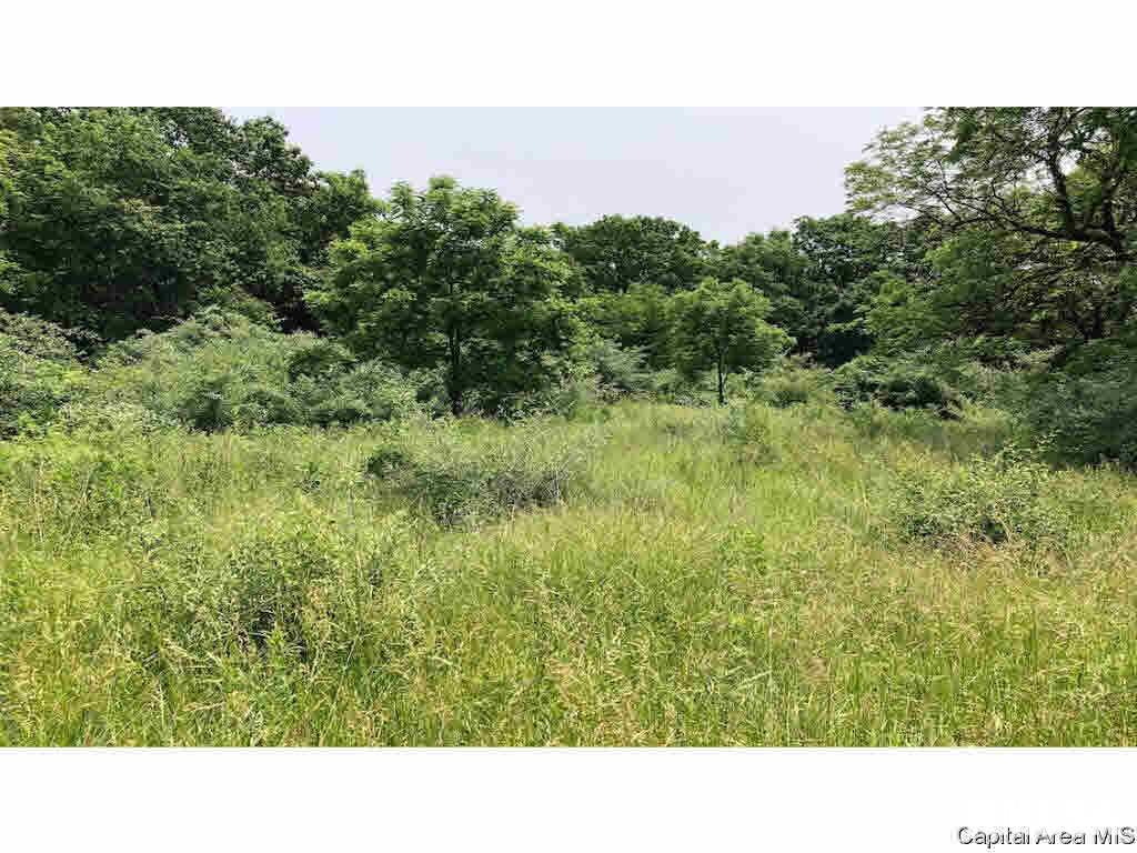 24268 Kinderhook Road Rushville, IL 62681 - Photo 24 of 35