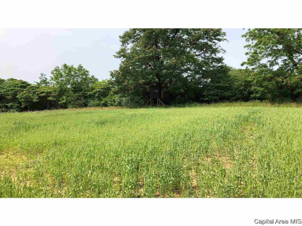 24268 Kinderhook Road Rushville, IL 62681 - Photo 25 of 35