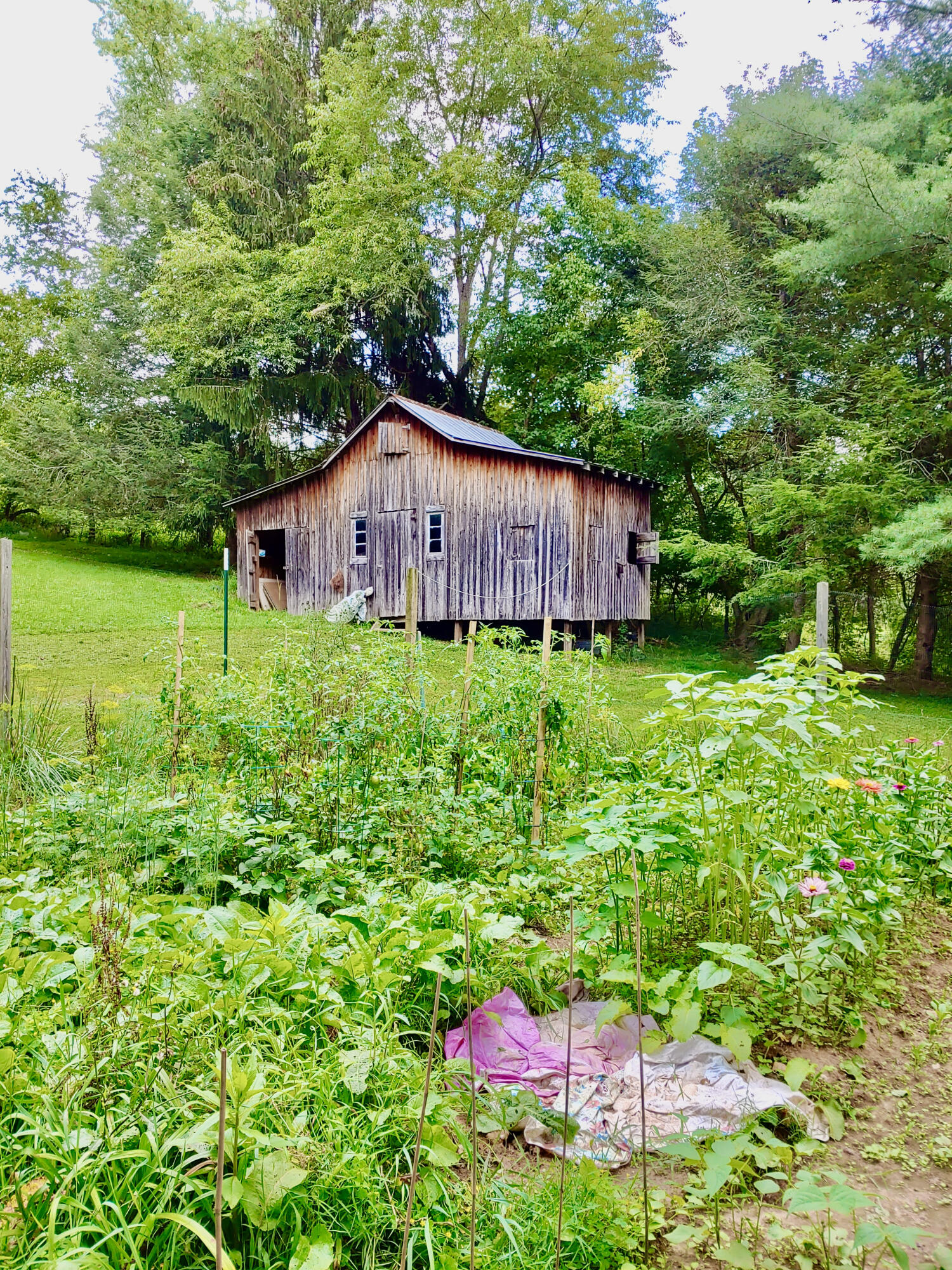 289 Huckleberry Ridge Road Northeast Floyd, VA 24091 - Photo 29 of 36 a backyard of a house with lots of green space and trees