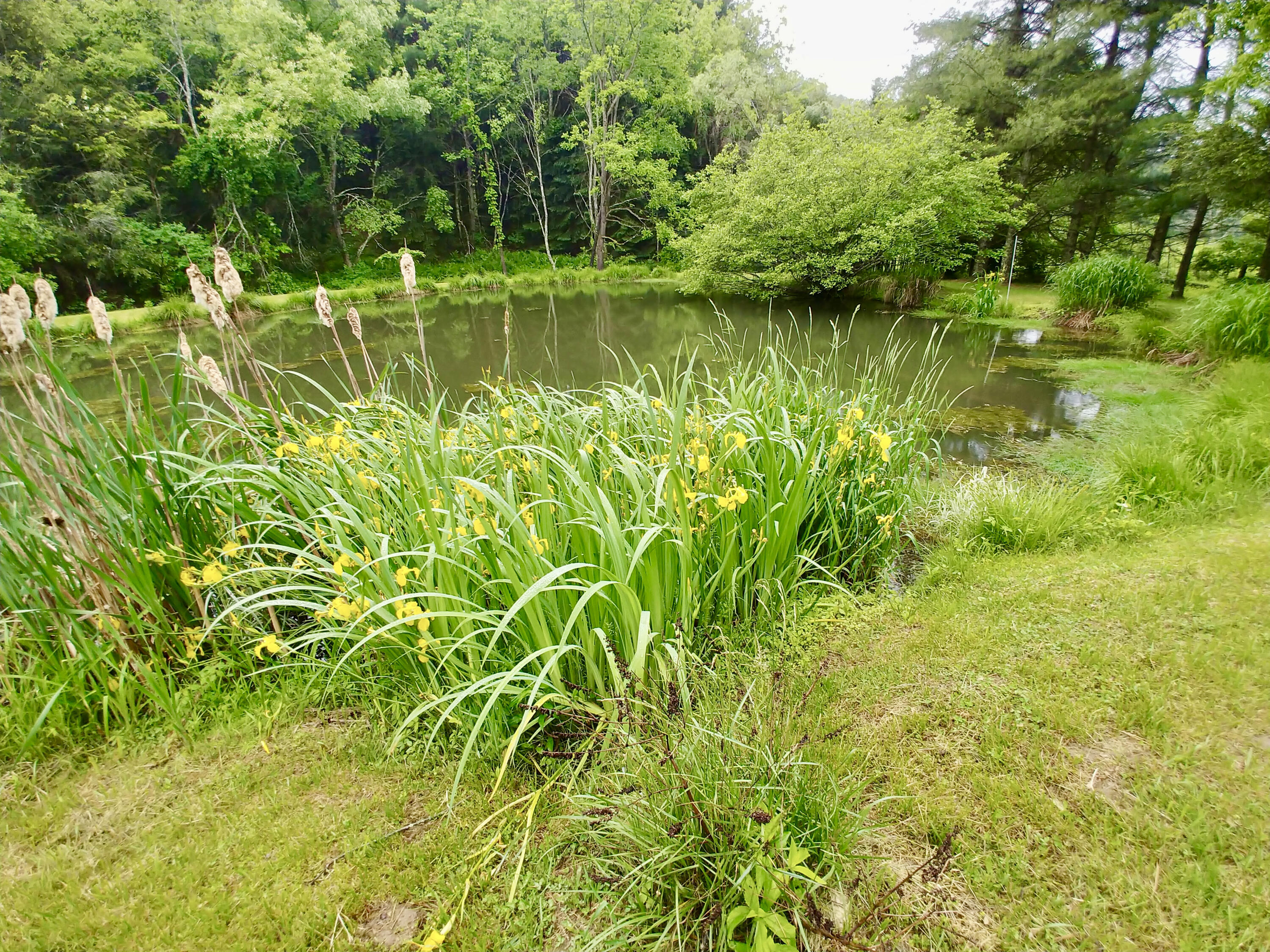 289 Huckleberry Ridge Road Northeast Floyd, VA 24091 - Photo 31 of 36 a view of a lake with a house in back