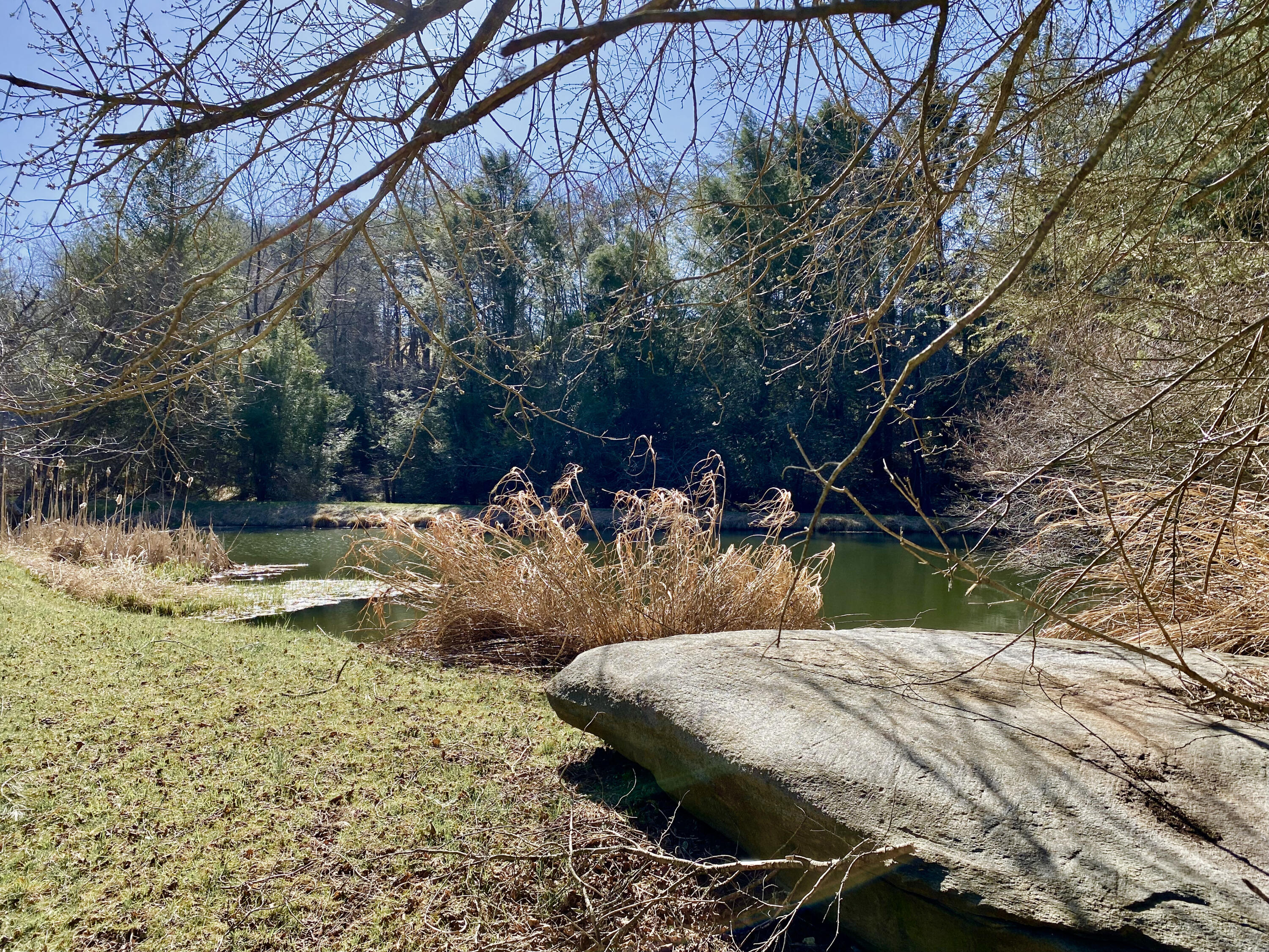 289 Huckleberry Ridge Road Northeast Floyd, VA 24091 - Photo 35 of 36 a view of swimming pool with a yard