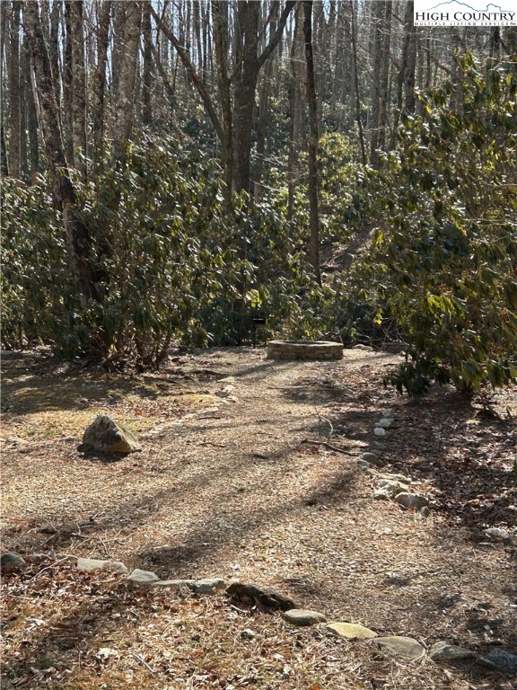 Angelfire Trail Deep Gap, NC 28618 - Photo 12 of 23