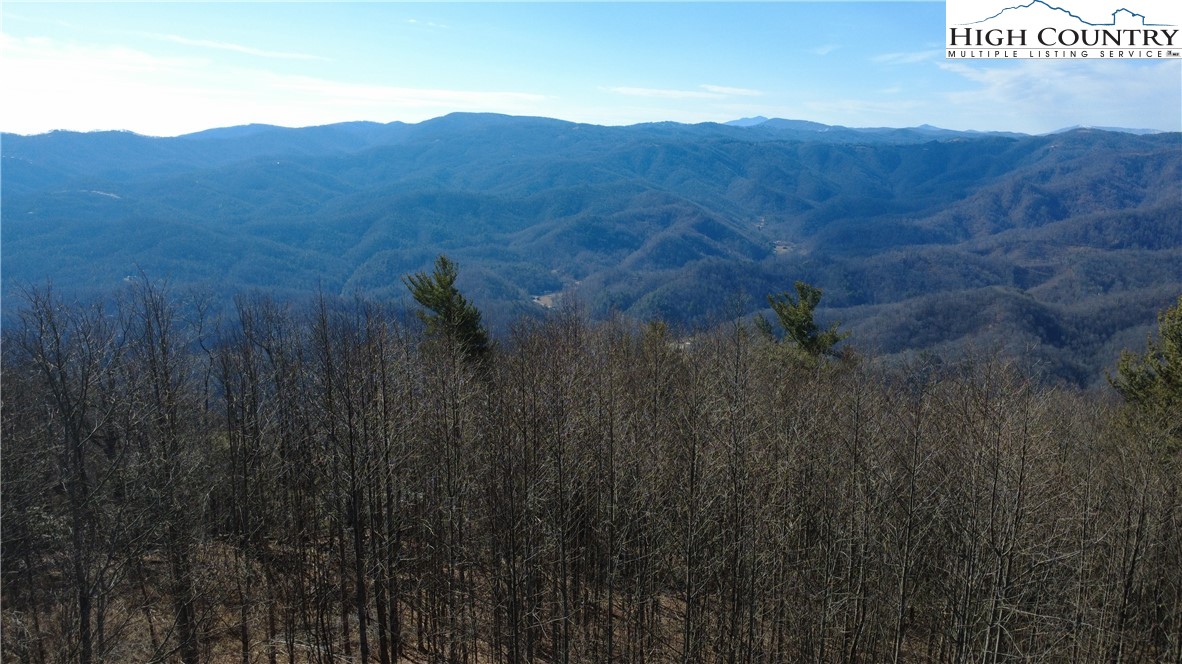Angelfire Trail Deep Gap, NC 28618 - Photo 16 of 23