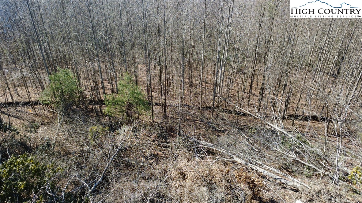 Angelfire Trail Deep Gap, NC 28618 - Photo 7 of 23