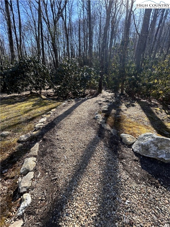 Angelfire Trail Deep Gap, NC 28618 - Photo 10 of 23