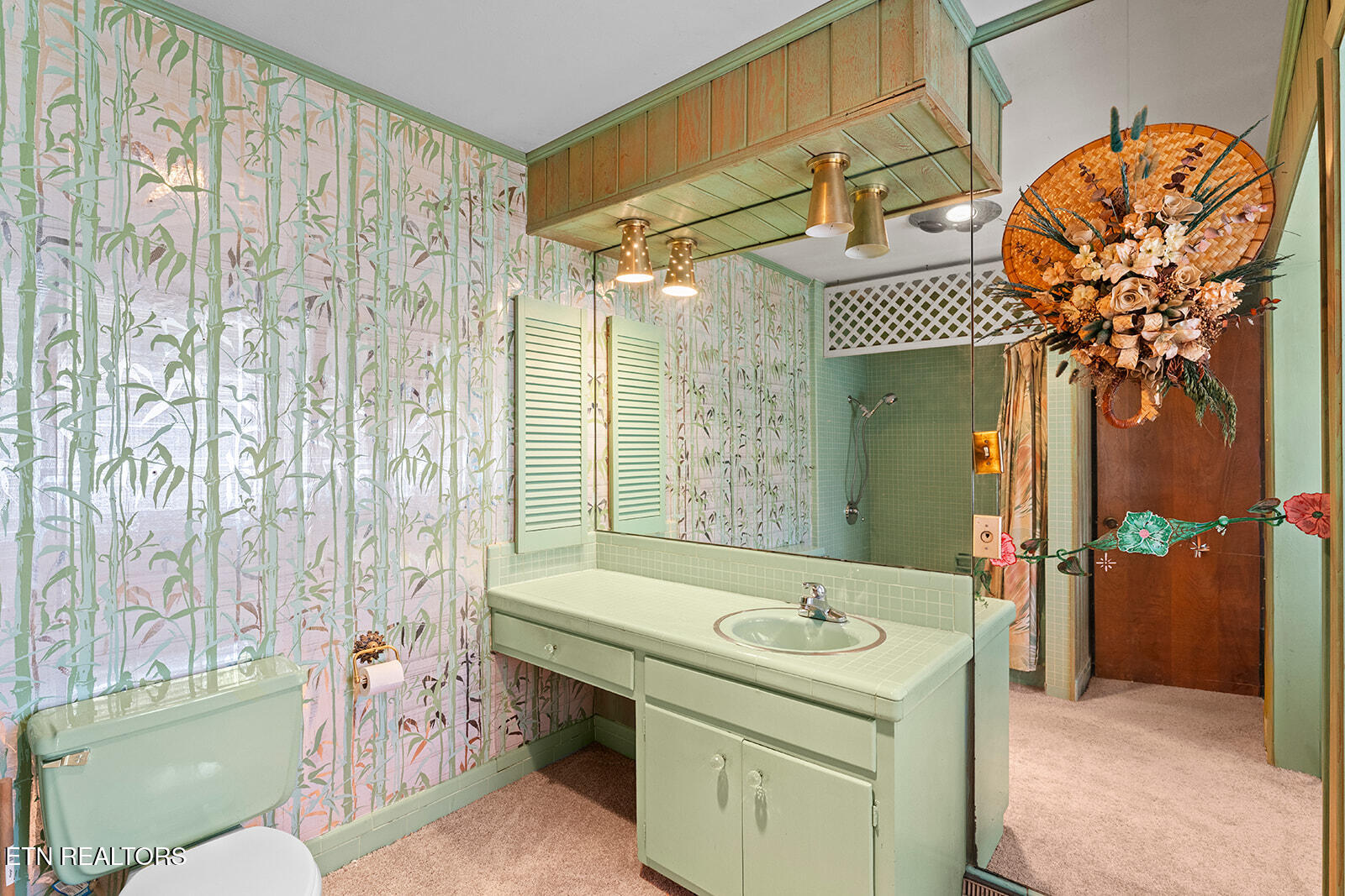 4827 Riversedge Road Louisville, TN 37777 - Photo 36 of 60 Bathroom 2