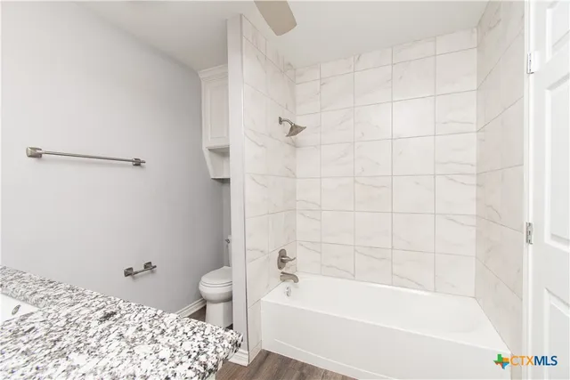 a bathroom with a bathtub and a toilet