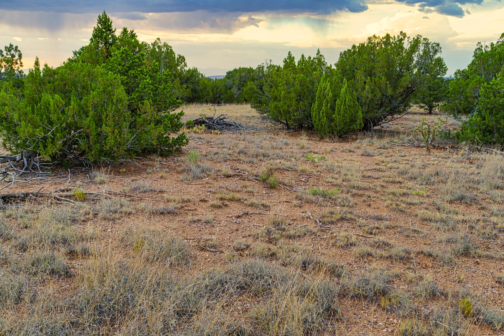 176 Wagon Trail Road Cerrillos, NM 87010 - Photo 14 of 35