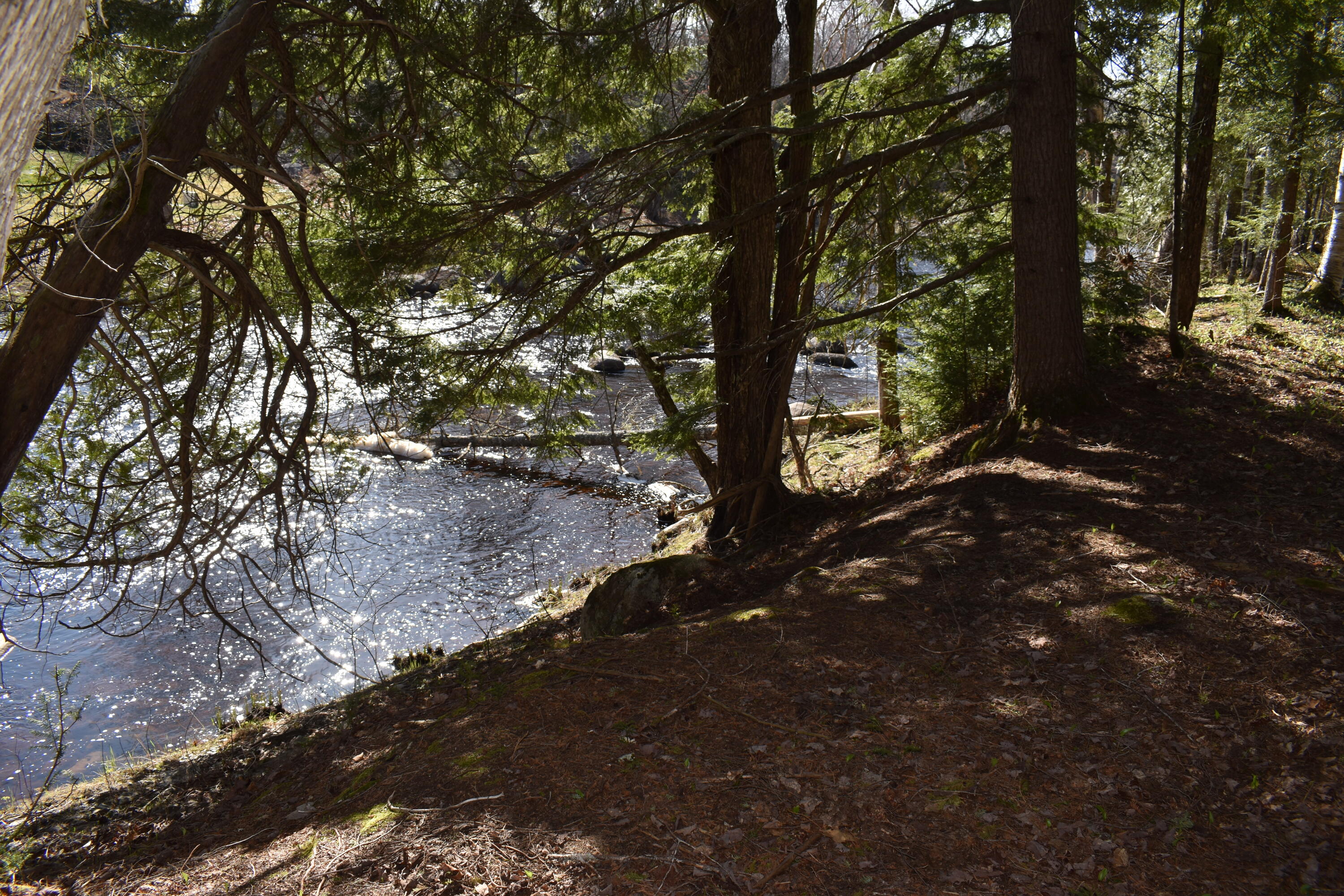 15 Loop Road Lincoln, ME 04457 - Photo 43 of 51 DSC_0131