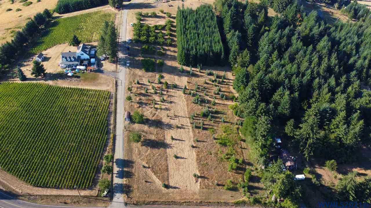 West Larson (lot 18) Road Monroe, OR 97456 - Photo 5 of 21