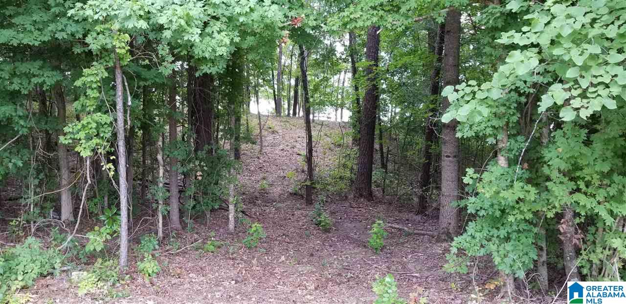 0 Briar Cliff Road, Unit 12 Rainbow City, AL 35906 - Photo 8 of 29